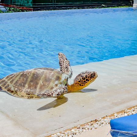 Villa Del Pescador Zihuatanejo Dış mekan fotoğraf