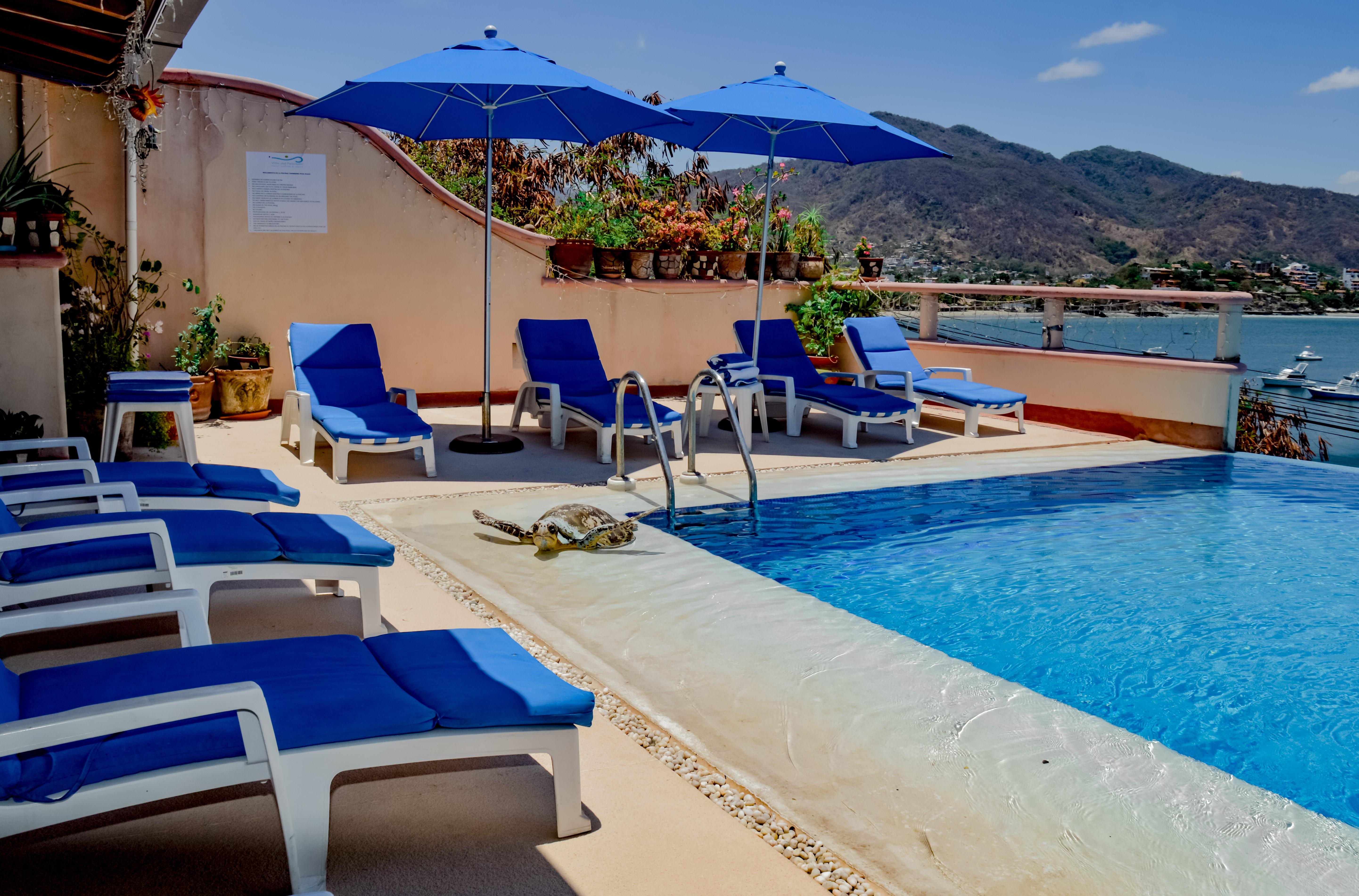 Villa Del Pescador Zihuatanejo Dış mekan fotoğraf